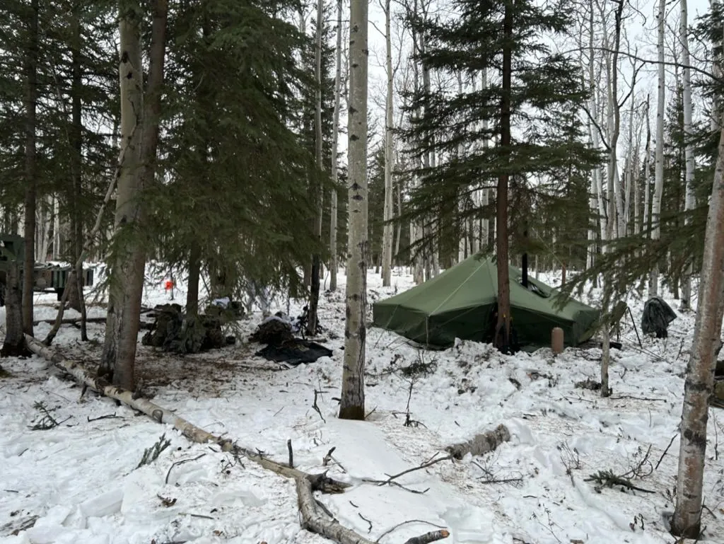 An Arctic-style military shelter pitched in a sparse spruce and birch treeline, snow on the ground. A tactical vehicle is partially visible at the left edge of the frame.